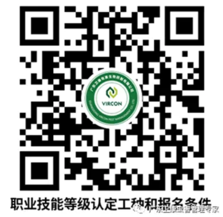 条件.png